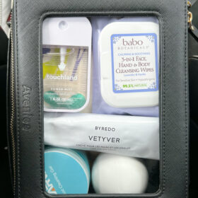 mom must haves for the car